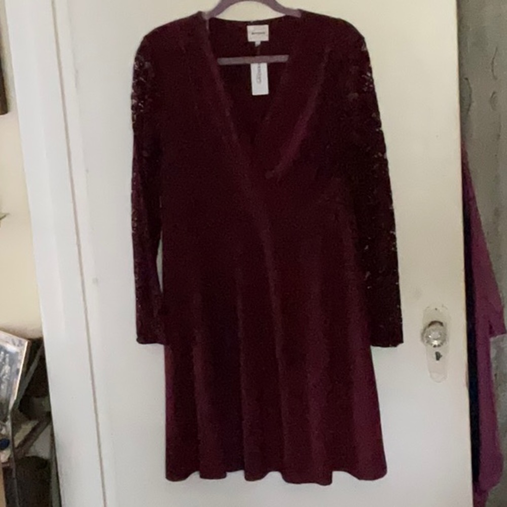 DRESS BARN Beyond Ashley Lace Sleeves Dress Large